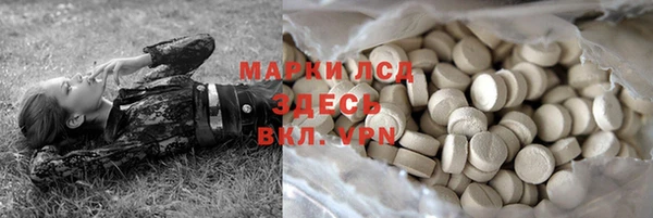 спиды Алзамай